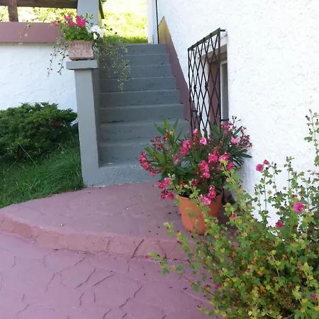 In Ruhiger Lage Am Waldrand By Interhome Casa vacanze Navis